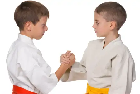martial arts respect