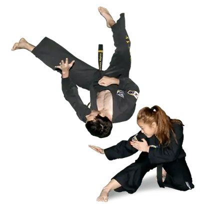 hapkido throws