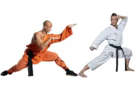 Which Martial Art is the Best?